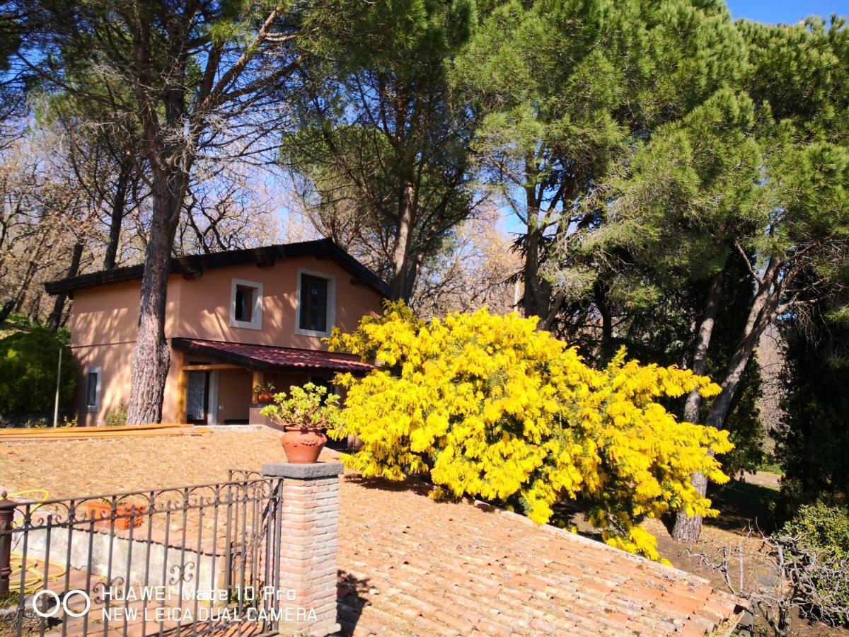Villa Feudo Algerazzi Zafferana Etnea Exterior foto